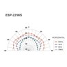 ESP-22/WS