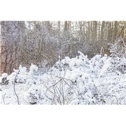 SNOW5000 MAQUINA DE NIEVE DE ALTO VOLUMEN