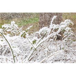 SNOW5000 MAQUINA DE NIEVE DE ALTO VOLUMEN